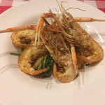 Primo Passo - スカンピのロングパスタ