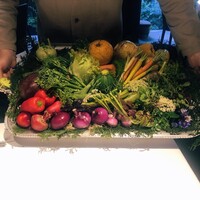 レフェルヴェソンス - 