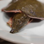 柳家錦 - 本日の主役