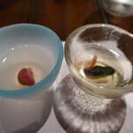 柳家錦 - 胆のうと心臓で元気モリモリ？