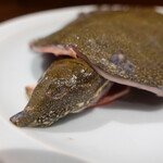 柳家錦 - 主役のアップ