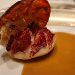 スガラボヴィー - 