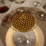 スガラボヴィー - 