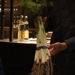 スガラボヴィー - 