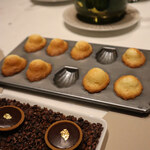 スガラボヴィー - 