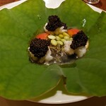 スガラボヴィー - 