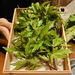 スガラボヴィー - 