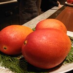 スガラボヴィー - 