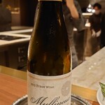 スガラボヴィー - 