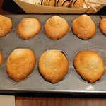 スガラボヴィー - 