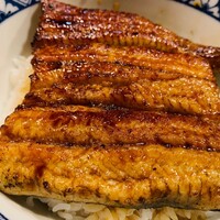うなぎ 目白ぞろ芽 - 