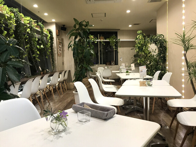 ブルーメンオーブスト Blumen Obst 旦過 カフェ 食べログ ブルーメンオーブスト Blumen Obst 旦過 カフェ 食べログ