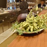 スガラボヴィー - 