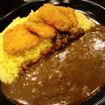 つぼやきカレー キートン - ヒレカツカレー