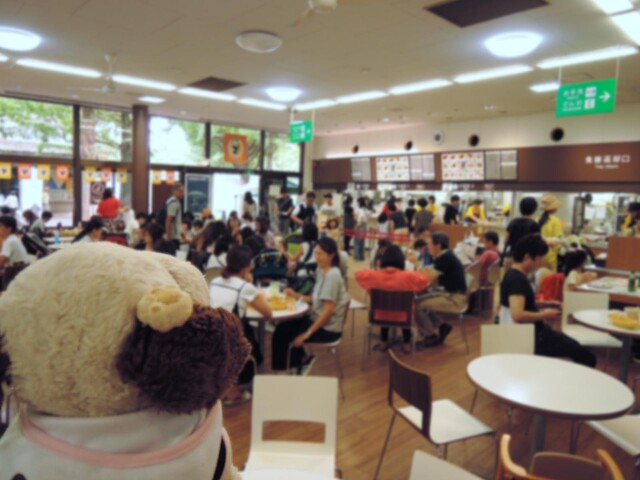 上野動物園 西園食堂 根津 定食 食堂 食べログ 上野動物園 西園食堂 根津 定食 食堂 食べログ