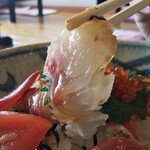 Sakanadokoro Masatsune - 今が旬の鯛の刺身