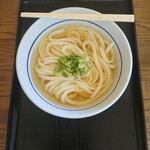 准手打ちな 満福うどん - かけ(小・冷)