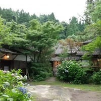 山ごぼう - 
