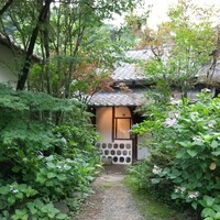 山ごぼう - 