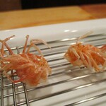 旬彩 天ぷら 心来(しんら） - くも。