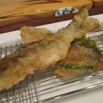 旬彩 天ぷら 心来(しんら） - 鮎。