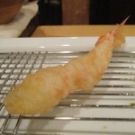 旬彩 天ぷら 心来(しんら） - 活車海老。