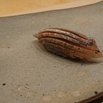 鮨 おおが - どんちっち鯵