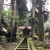 永平寺そば亭 一休 - 曹洞宗大本山永平寺に参詣に来ました。