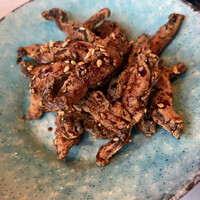 CINA New Modern Chinese - 