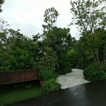 オランジェ カフェウッド - 