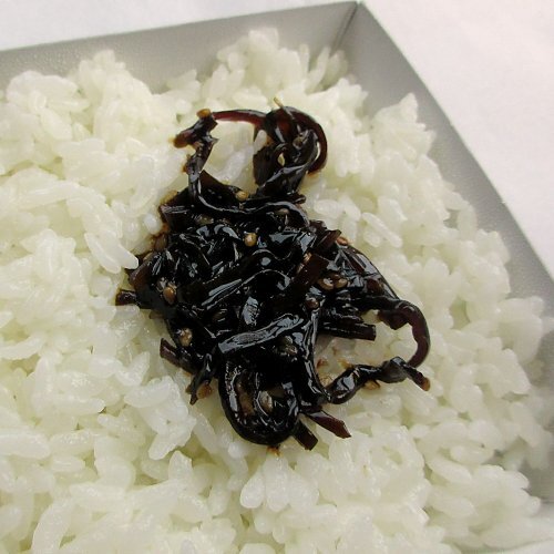 かつサンド をテイクアウト By くのっちょ 和幸 イオンモール苫小牧店 苫小牧 とんかつ 食べログ かつサンド をテイクアウト By くのっちょ 和幸 イオンモール苫小牧店 苫小牧 とんかつ 食べログ