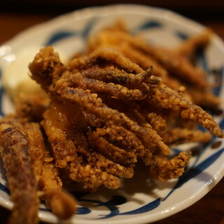 高山駅でおすすめの美味しい居酒屋をご紹介 食べログ 高山駅でおすすめの美味しい居酒屋をご紹介 食べログ