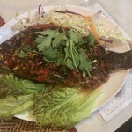 レッド オーキッド - 