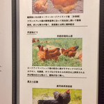 鳥田中 - 七谷地鶏 丹波地鶏 黑さつま鷄を写真入りで紹介してあります　この3種に絞ったようですね