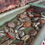 網元イタリアン - 牡蠣小屋の中