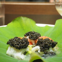 スガラボヴィー - 