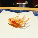 にい留 - さぁ始まった♡