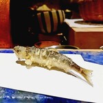 にい留 - あ、これがやはり一番!!! 稚鮎!!!世界一美味しい。ホクホクの身にワタの苦甘さ。神が宿る。