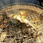 日本料理　丸しま - 