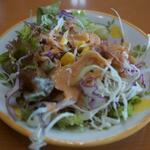 メヘマーン サラエ - 