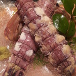 亀喜寿司 - 眞子持ちシャコエビ (特大サイズ) ◆背の白色は旨さのバロメーター