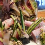 亀喜寿司 - 刺し盛 (葡萄海老･鮑アワビ･ニシン･鮑アワビ海苔巻)