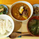 Shinodaya - 〔日替〕ラム肉とゴボウのキーマカレー（￥1000）。辛さはほとんど無く、スパイスの香りを前面に出した設計