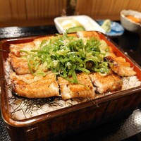 うなぎ 目白ぞろ芽 - 白焼き鰻重