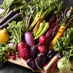 Colorful salad of Kamakura vegetables