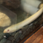 鰻はし本 - 池神様