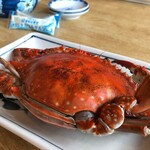 まるは食堂旅館 - 