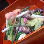 辻政 - 春らしいサラダ