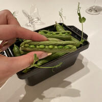 レザンファン ギャテ - 