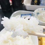 銀シャリ屋 ゲコ亭 - 